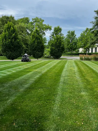 Ongoing property management services - click to learn more