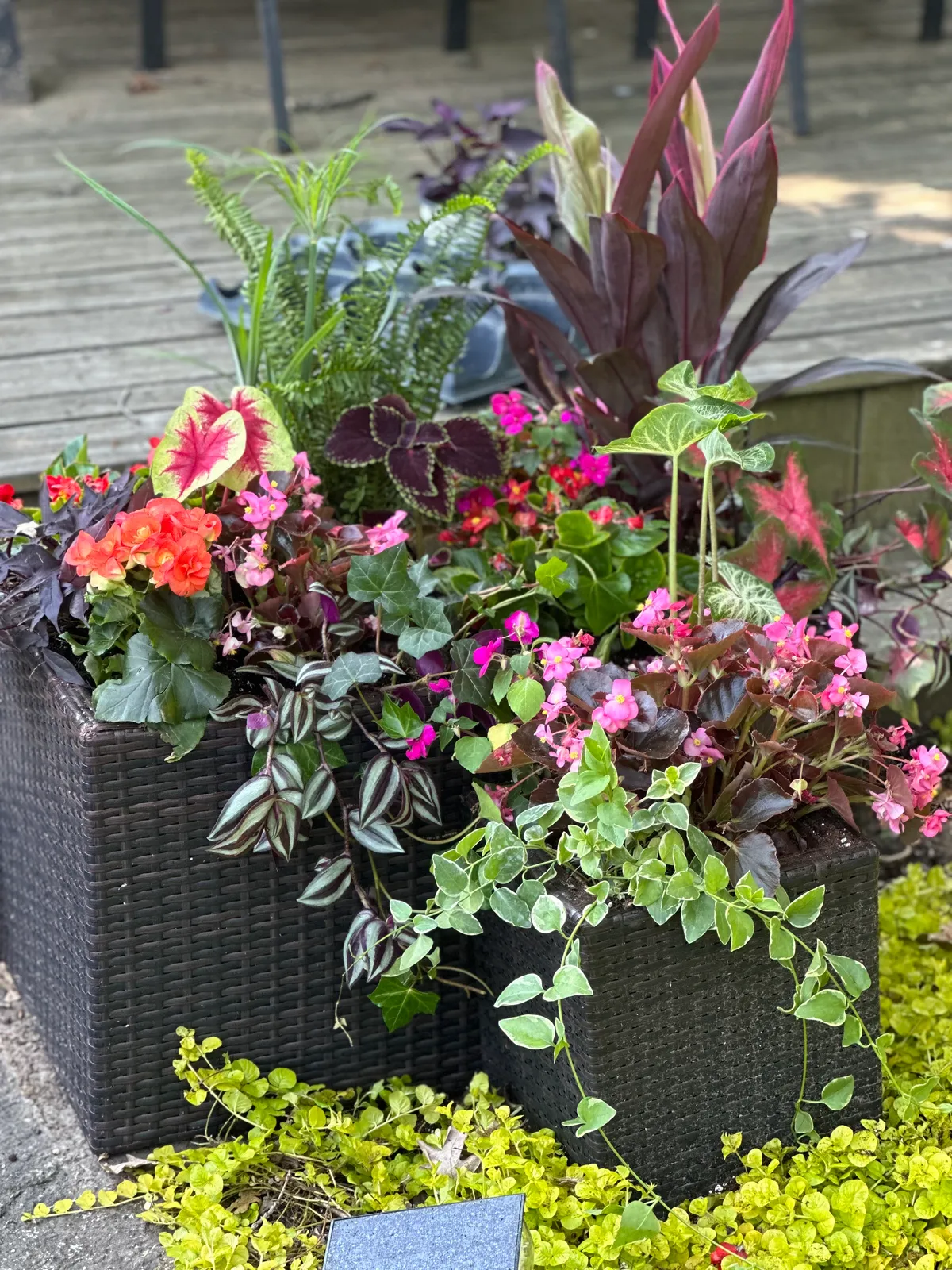 Plant installation services by Ryan Brothers